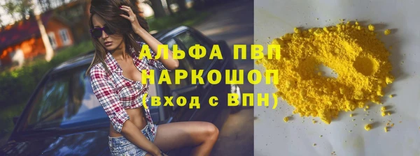 сатива Аркадак