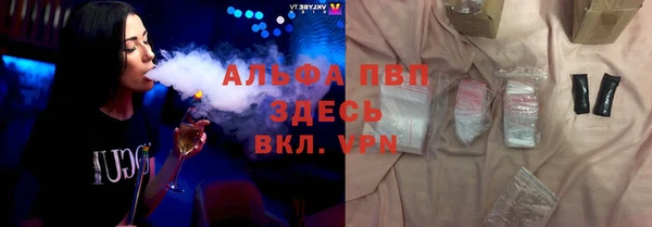 сатива Аркадак