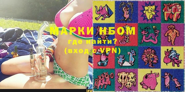 сатива Аркадак