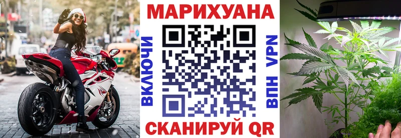 Марихуана семена Могоча